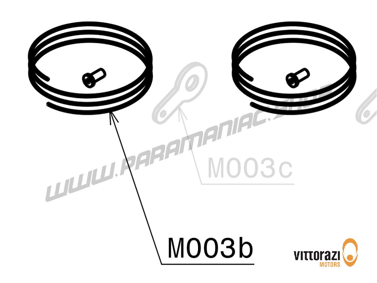 Vittorazi Moster 185 MY25 - M003b - Security Kabel 45 cm und Stahl crimps (Set von 2)