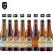 La Trappe Brouwerijpakket (15-pack) La Trappe Brouwerijpakket (15-pack)
