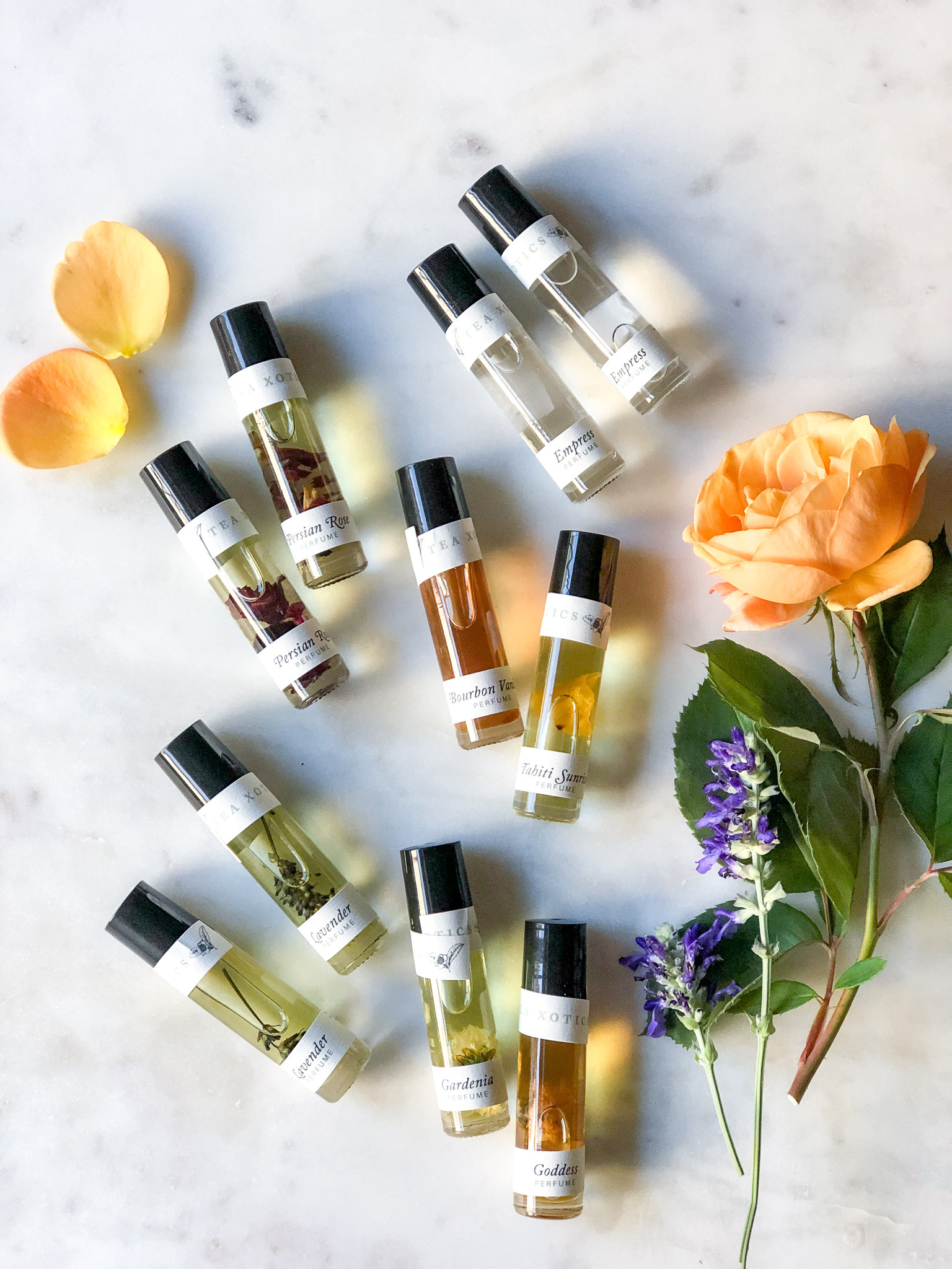 Romance Set of 6 Premium Grade Fragrance Oils Honey Rose 