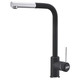 Pull-out Spray Kitchen Tap Black & Chrome Monobloc - Franke Sirius 115.0476.827