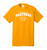 Parkview Panthers Tee