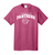 Parkview Panthers Tee