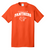 Youth Parkview Panthers Tee