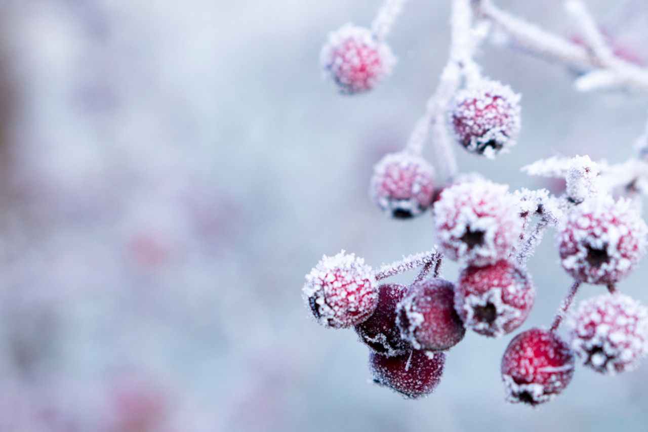 Holiday Closures & Production Time Frames