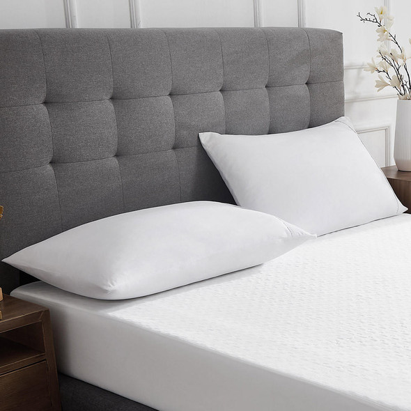 DOWNLITE Traditional 5/95 Blend Pillow (Goose), Medium Support