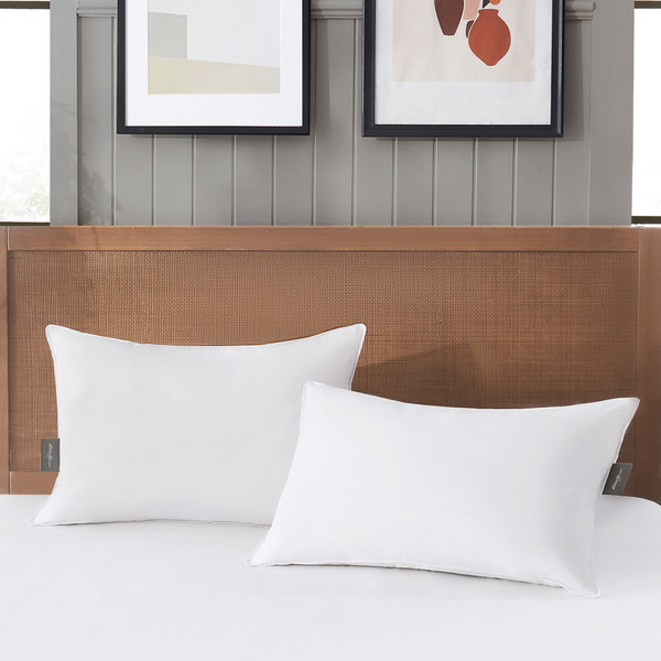 Eddie Bauer® 600 Fill Power RDS White Duck 360Down® Plush Top Pillow