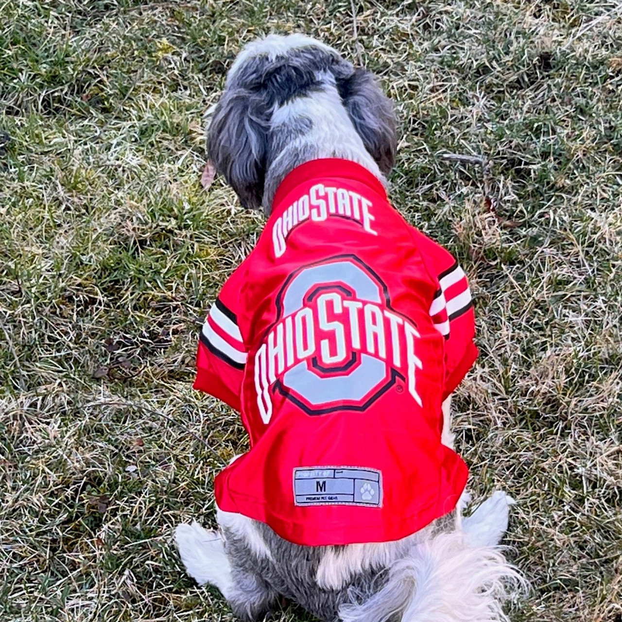 Ohio state jersey sales for dogs