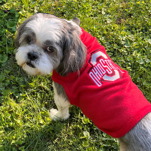 Custom Dazzle Dog Jersey with Pet Name - College Traditions