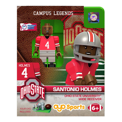 Santonio Holmes Building Block