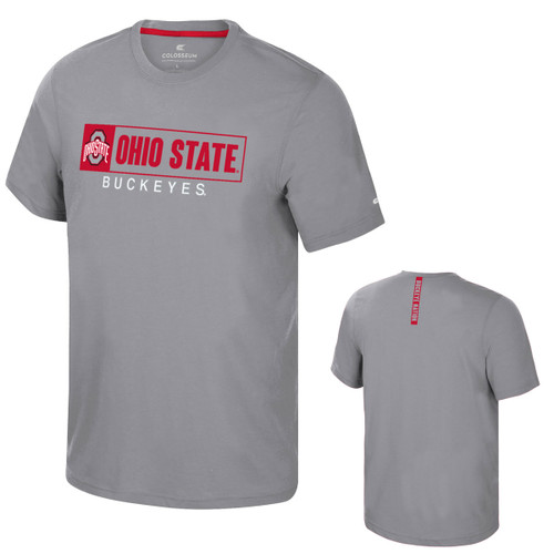 Ohio State Colosseum Gray Short Sleeve Buckeyes Tee.