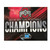 5*6 Big 10 Champ Multi Use Decal