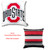 18 x 18 Logo/Stripe Pillow Cover