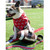 Red All Over Print Logo Cooling Dog Bandana