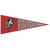 Ohio State Brutus Wool Pennant.
