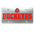 Silver Heavy Weight Double License Plate with Buckeyes