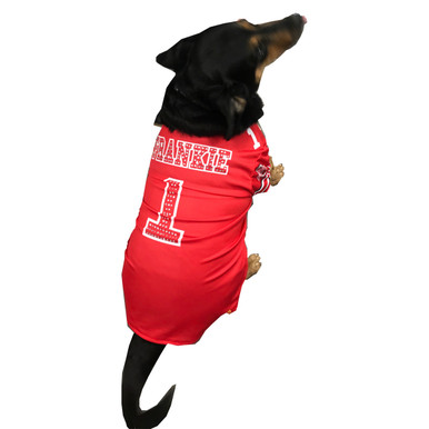 Custom Dazzle Dog Jersey - College 