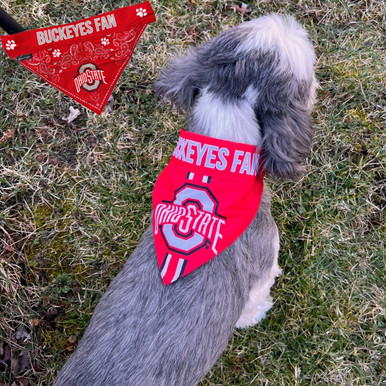 NCAA Dog Bandana - Oregon State Beavers Reversible PET Bandana. 2