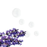 Dry Oil Body Moisturizer Drops with Lavender Flowers