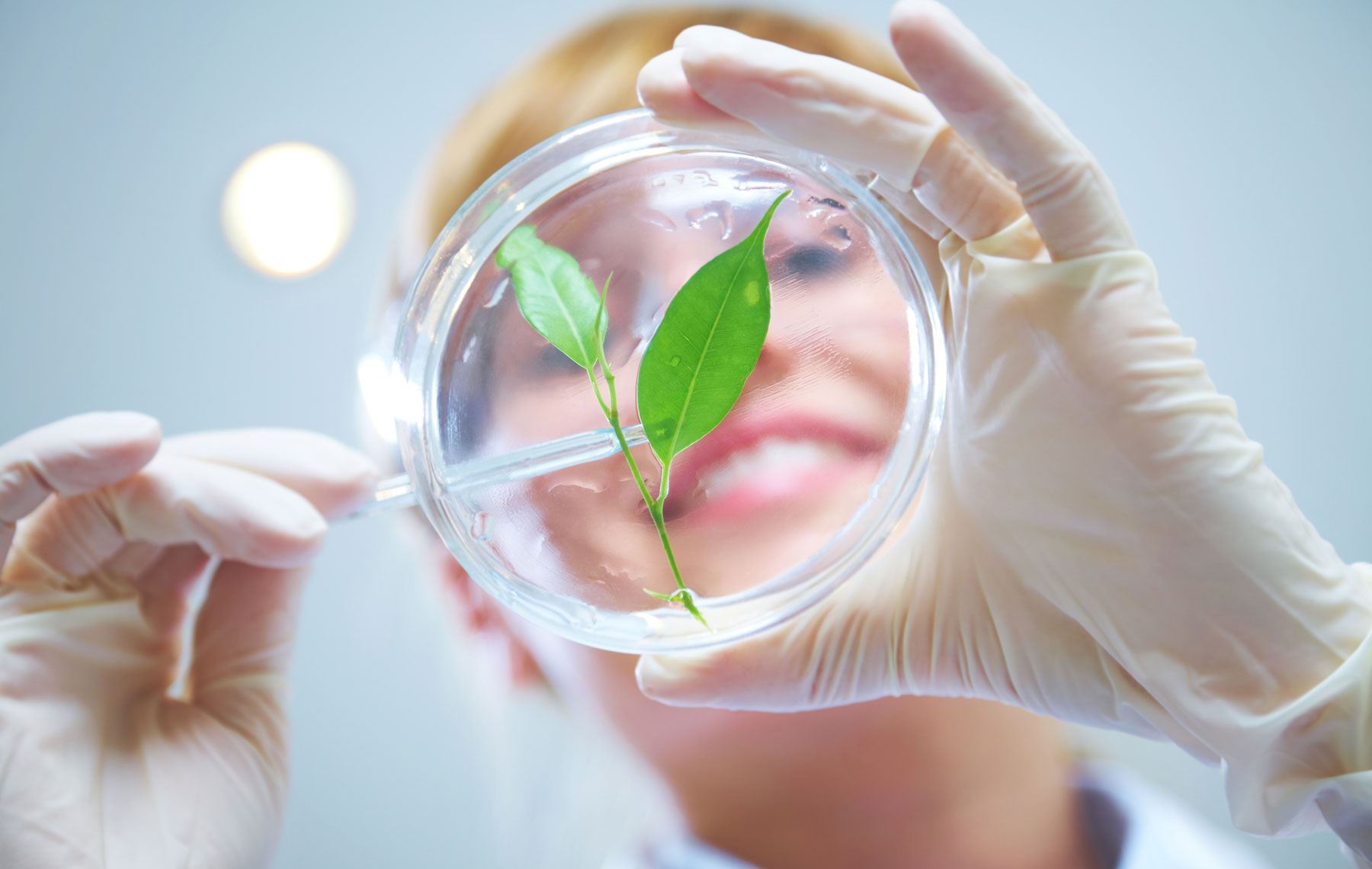 Expert Mixing Natural Ingredients in a Lab