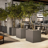 Row of modern square fiberglass planters dividing office space – quick ship Row of modern square fiberglass planters dividing office space – quick ship