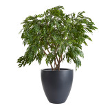 Black rocca round planter with an artificial tree. Black rocca round planter with an artificial tree.