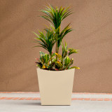 Front view of square Nazca planter with plants.