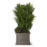 Areca Palms with Flowers in Keswick Fiberglass Planter Areca Palms with Flowers in Keswick Fiberglass Planter