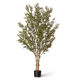 Ruscus tree in weighted planter