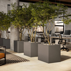 Row of modern square fiberglass planters dividing office space – quick ship Row of modern square fiberglass planters dividing office space – quick ship