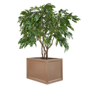 Rectangular ashville planter with a tree. Rectangular ashville planter with a tree.
