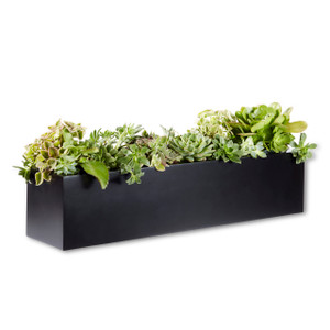 Black modern window box with plants. Black modern window box with plants.