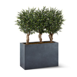 Ixora Chenisis in Modern Fiberstone Planter