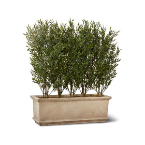 Ruscus Trees in Lynx GFRC Planter Ruscus Trees in Lynx GFRC Planter