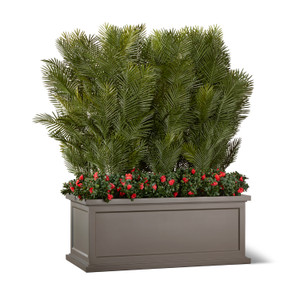 Areca Palms with Flowers in Keswick Fiberglass Planter Areca Palms with Flowers in Keswick Fiberglass Planter