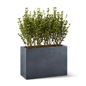 Brow Trees in Modern Zinc Fiberstone Planter Brow Trees in Modern Zinc Fiberstone Planter