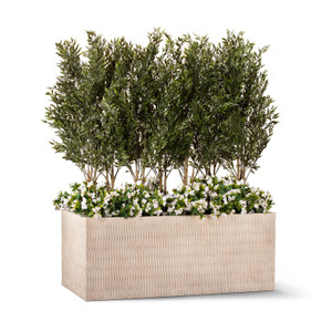 Ruscus & Bougainvillea in Draper Fiberstone Planter Ruscus & Bougainvillea in Draper Fiberstone Planter