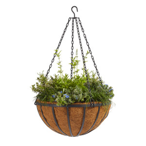 Bulk English Garden Hanging Baskets with Free Shipping when you buy 5 or more Bulk English Garden Hanging Baskets with Free Shipping when you buy 5 or more