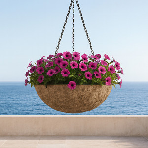 Primitive Hanging Basket in a seaside resort with ocean in background Primitive Hanging Basket in a seaside resort with ocean in background