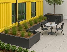 Why Bioretention is the Future of Urban Design