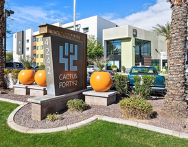 The Power of Color: How to Use Planter Colors to Enhance Your Landscape Design