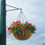 One-Way Scroll Arm Lamp Post Bracket installed on light post, with 22" hanging baskets brimming with flowers