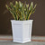 White Cape Cod Planter by dark brown building, planted with green spikey leafed plant White Cape Cod Planter by dark brown building, planted with green spikey leafed plant
