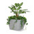 Baxter Fiberglass Tapered Square Planter planted with green plants
