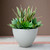 Rocca round planter shown in dove with artificial plants.