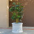 Solerno Fiberglass Round Planter with a tree