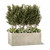 Draper Fiberstone Rectangular Planter with trees and white flowers