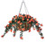 Coral impatiens in a 22 inch hanging basket. Coral impatiens in a 22 inch hanging basket.