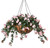 Pink impatiens in a 22 inch hanging basket. Pink impatiens in a 22 inch hanging basket.