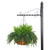 Buckler fern grass mix in a 22 inch hanging basket. Buckler fern grass mix in a 22 inch hanging basket.