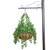 English ivy in a 22 inch hanging basket on a bracket with a post English ivy in a 22 inch hanging basket on a bracket with a post